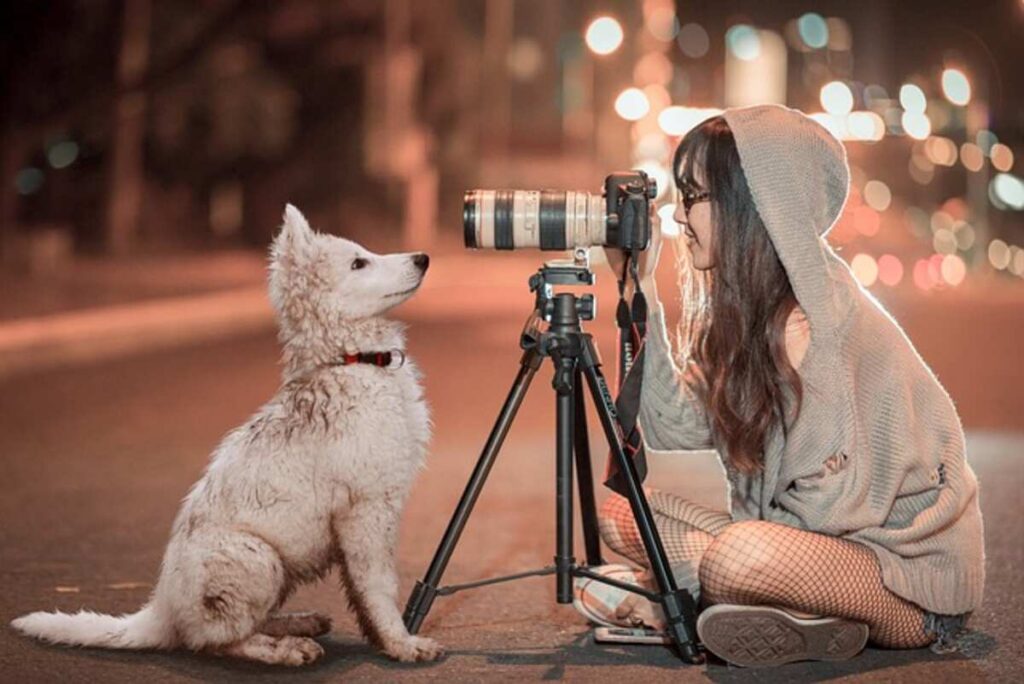 Setting Up A Photo Shoot