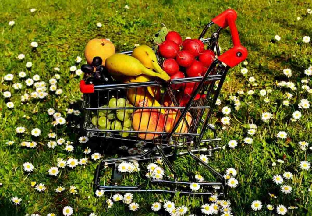 A Healthy Life Vs A Nourished Life