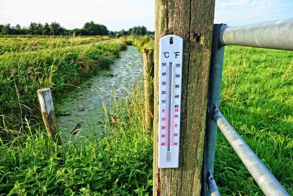 Fahrenheit in Celsius