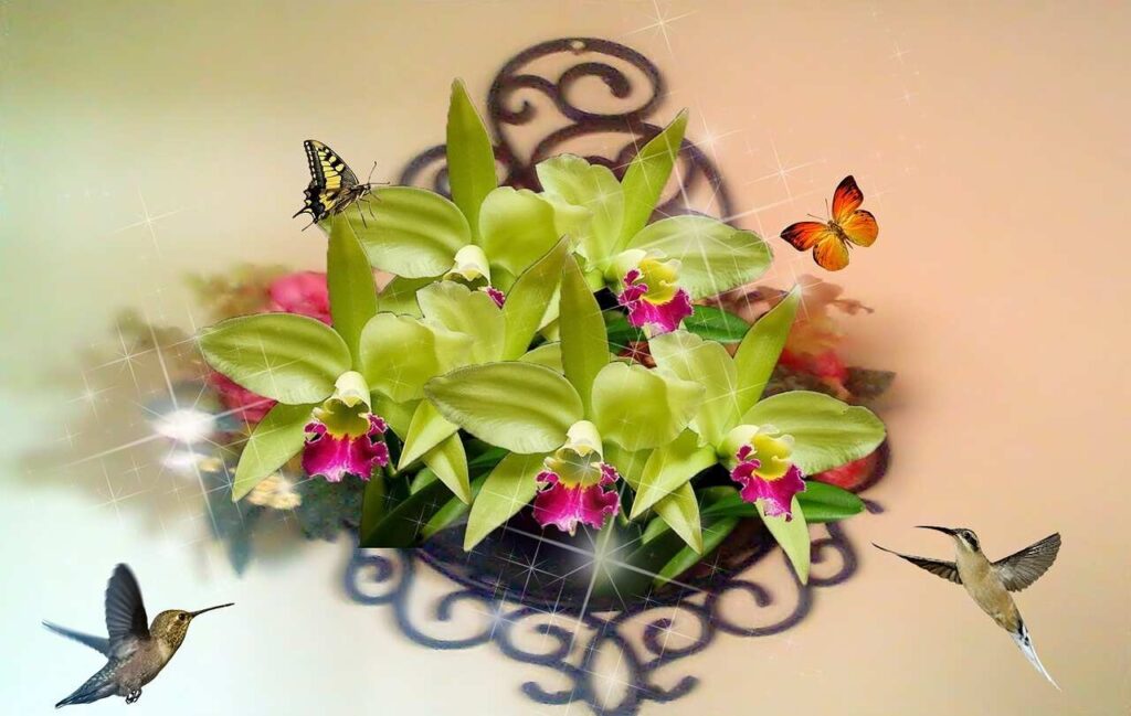Orchid Planter