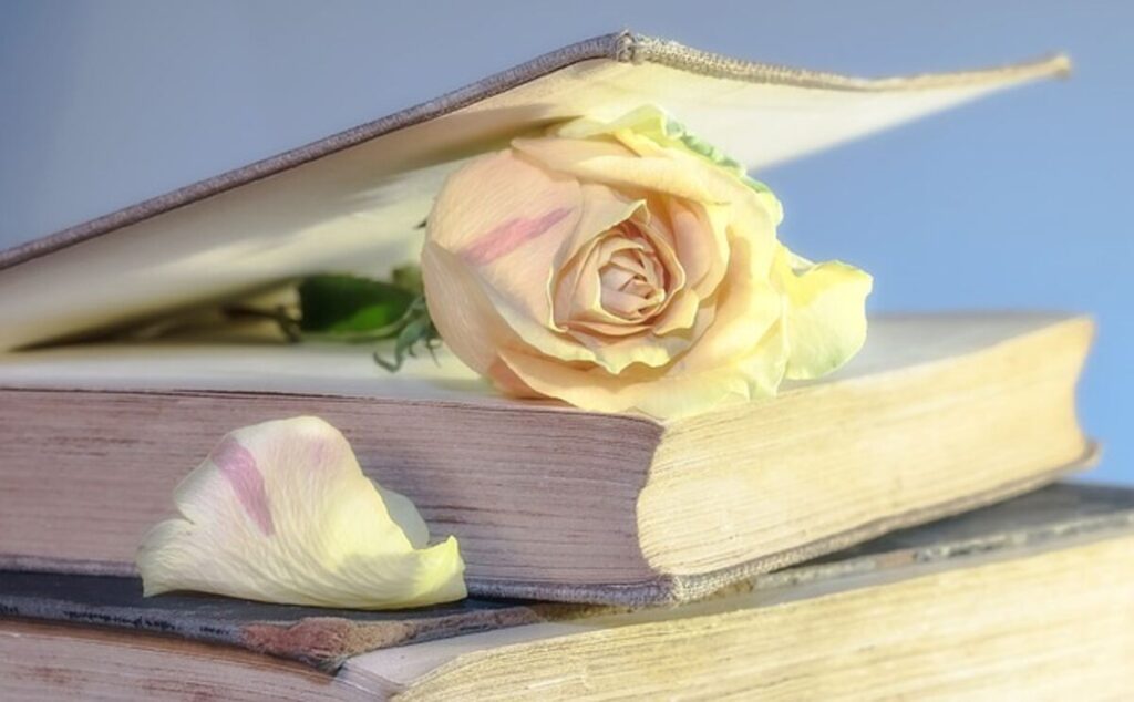Book Finder