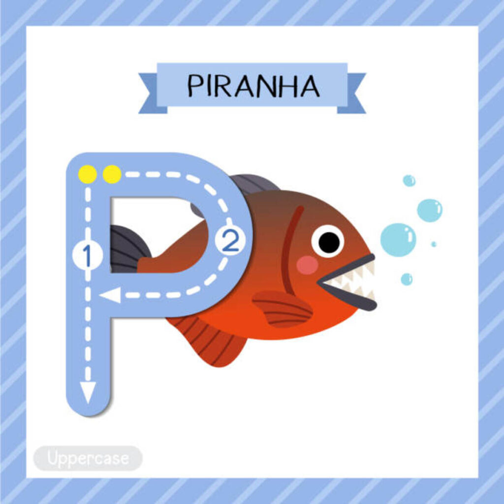 Fish That Starts With P