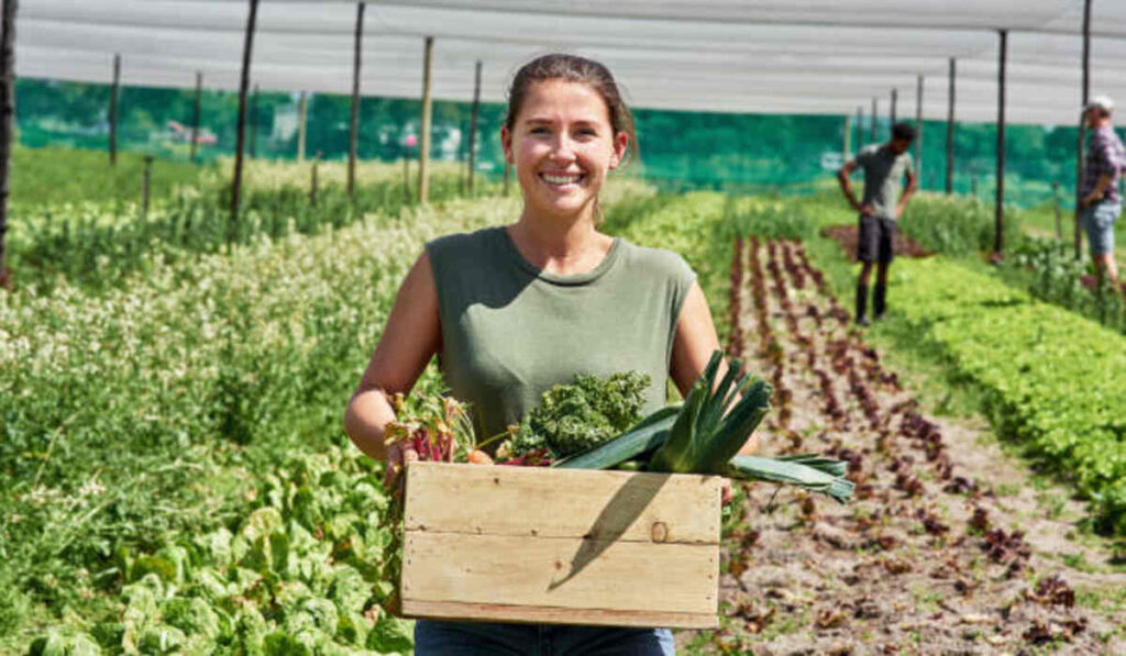Craigslist Farm and Garden