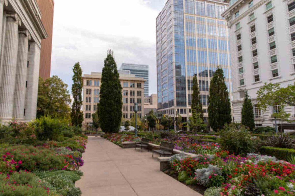 Mercer Business Park