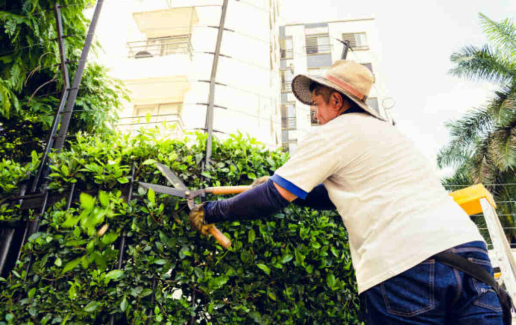 Anderson Lawn Care