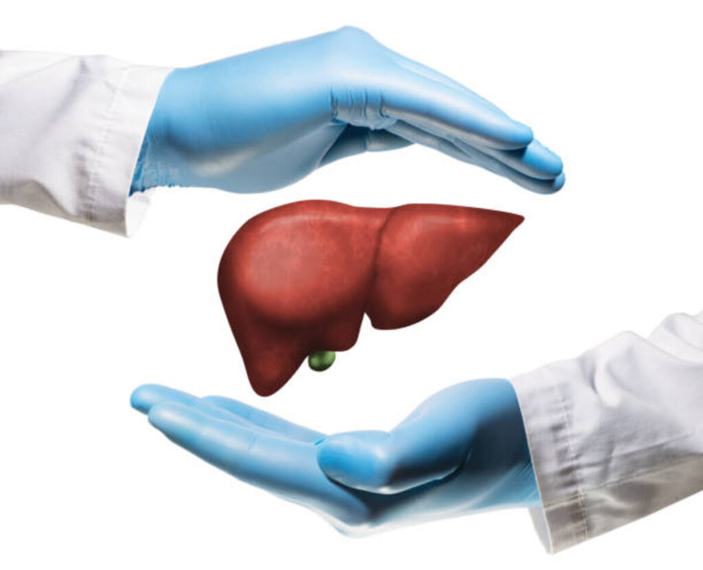 How to Use Bhumi Amla For Fatty Liver Disease