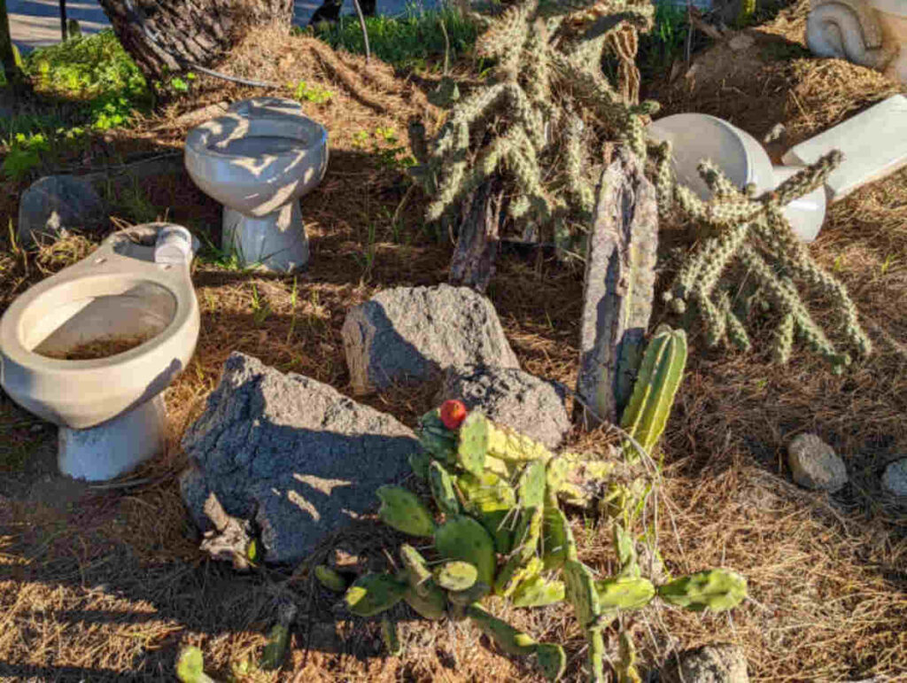 Five Plumbers in Escondido