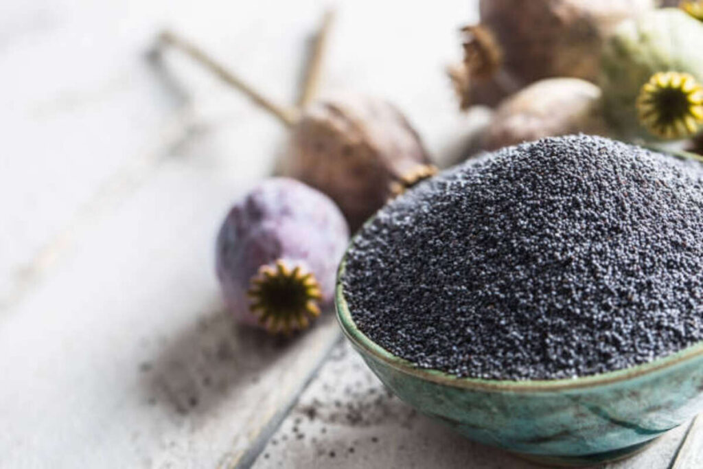 Poppy Pods For Sale